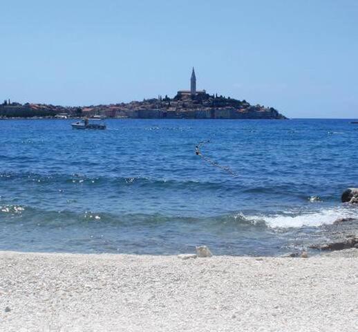 Near - Marica Rovigno