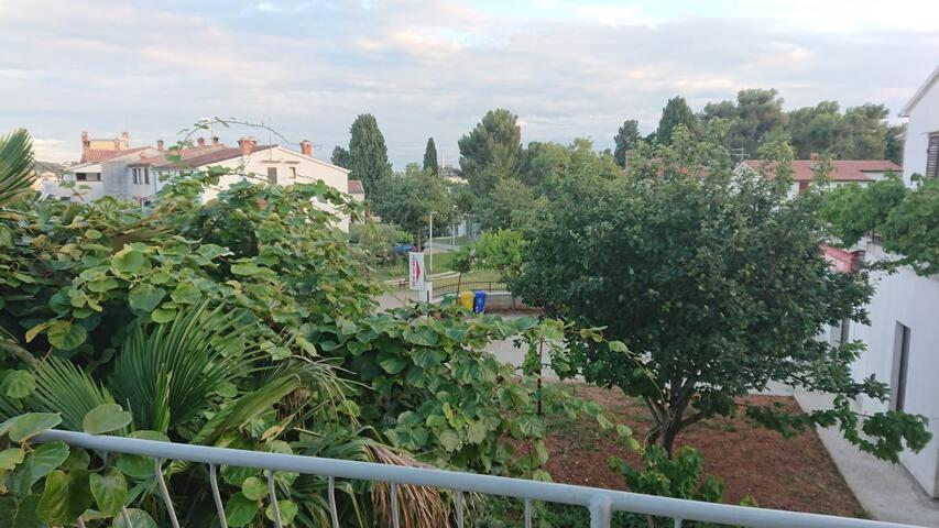 Near - Marica * Rovigno